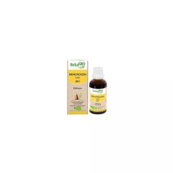 IMMUNOGEM BIO 30ML HERBALGEM  dans votre magasin bio en ligne Etiketbio.eu