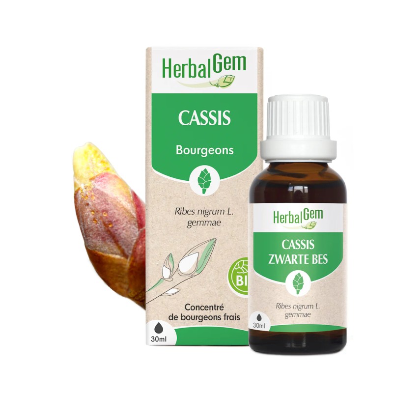 CASSIS BIO 30ML HERBALGEM  dans votre magasin bio en ligne Etiketbio.eu