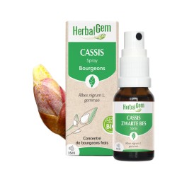 CASSIS SPRAY BIO 15 ML HERBALGEM  dans votre magasin bio en ligne Etiketbio.eu