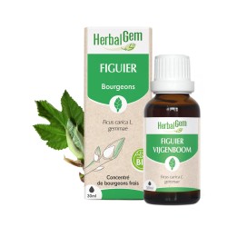 FIGUIER BIO 30ML HERBALGEM  dans votre magasin bio en ligne Etiketbio.eu