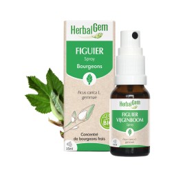 FIGUIER SPRAY BIO 15 ML HERBALGEM  dans votre magasin bio en ligne Etiketbio.eu