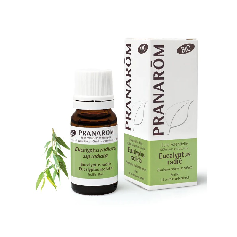 HUILE ESSENTIELLE EUCALYPTUS RADIE FEUILLE 10ML PRANAROM  dans votre magasin bio en ligne Etiketbio.eu