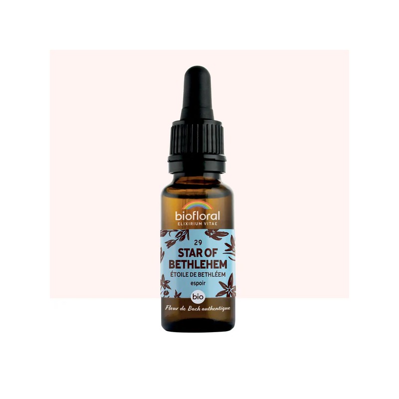 ELIXIR 29 ETOILE DE BETHLEEM BIO - 20 ML BIOFLORAL  dans votre magasin bio en ligne Etiketbio.eu