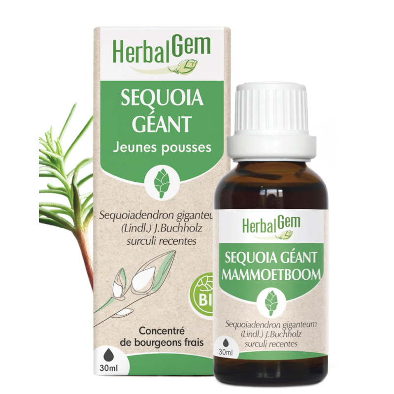 SEQUOIA BIO 30 ML HERBALGEM  dans votre magasin bio en ligne Etiketbio.eu