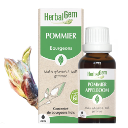 POMMIER BIO 30 ML HERBALGEM  dans votre magasin bio en ligne Etiketbio.eu