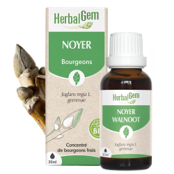 NOYER BIO 30ML HERBALGEM  dans votre magasin bio en ligne Etiketbio.eu