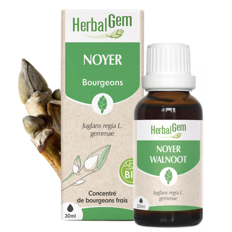 NOYER BIO 30ML HERBALGEM  dans votre magasin bio en ligne Etiketbio.eu