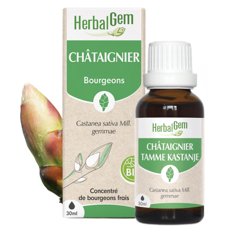 CHATAIGNIER BIO 30 ML HERBALGEM  dans votre magasin bio en ligne Etiketbio.eu