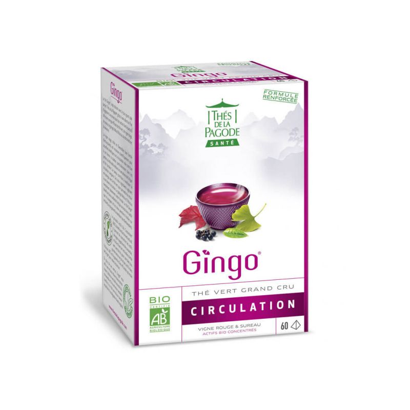 THE GINGO BIO 60 INFUSETTES LES THES DE LA PAGODE  dans votre magasin bio en ligne Etiketbio.eu