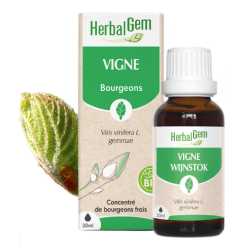 VIGNE 30ML HERBALGEM  dans votre magasin bio en ligne Etiketbio.eu