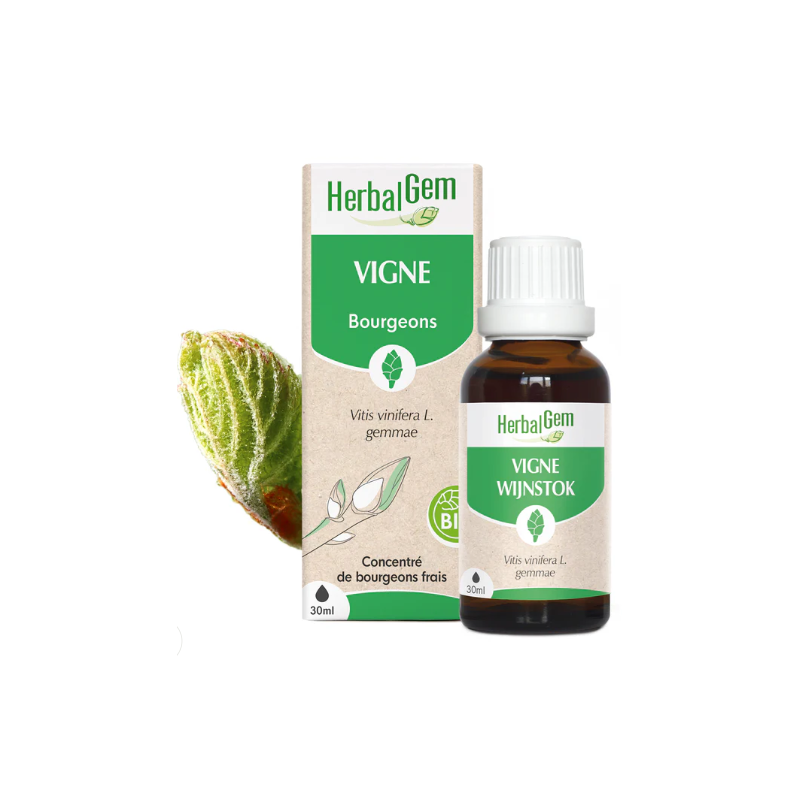 VIGNE 30ML HERBALGEM  dans votre magasin bio en ligne Etiketbio.eu