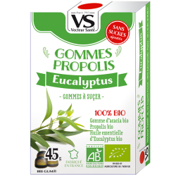 Gommes Propolis Eucalyptus BIO sans sucre - 45 g Vecteur Santé  dans votre magasin bio en ligne Etiketbio.eu